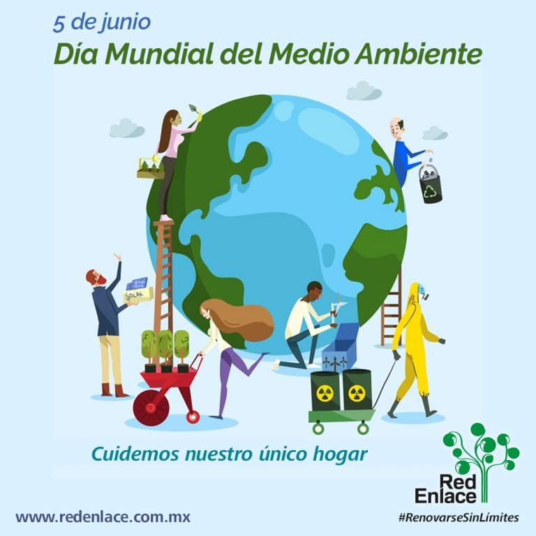 RedEnlace - Redes Sociales (4 de 5)
