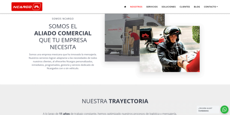 Ncargo Sitio Web (2 de 4)