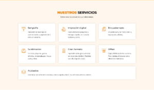 portfolio-neuronas-creativas-sitio-web-estilograficomx-imprenta-mexico-df