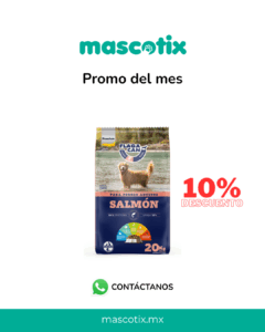 post redes sociales mascotix 1080 x 1350