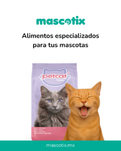 post redes sociales mascotix 1080 x 1350